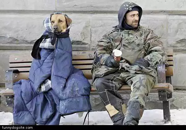 Waiting For The Bus