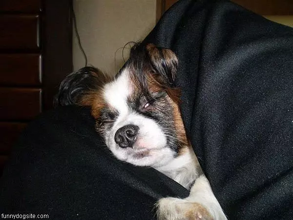 Passed Out