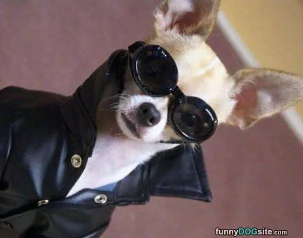 Coool Dude