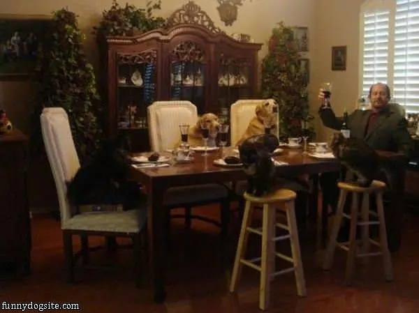Big Happy Dinner Party