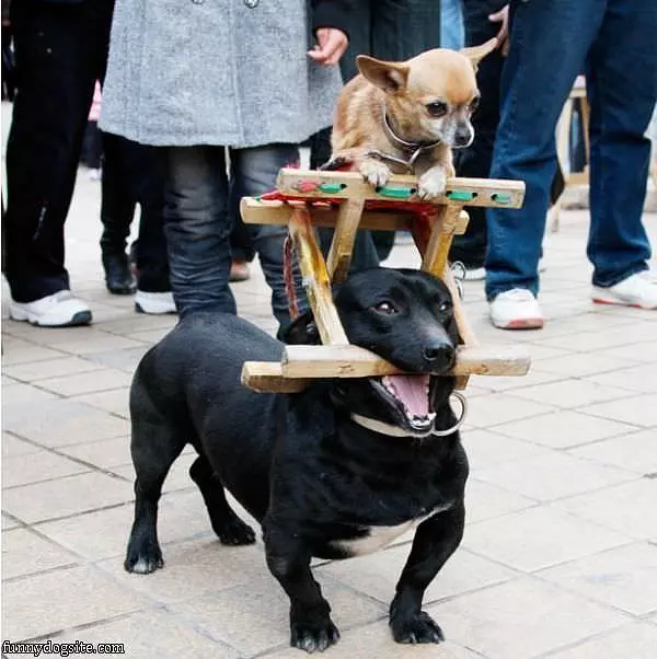 I Will Carry You