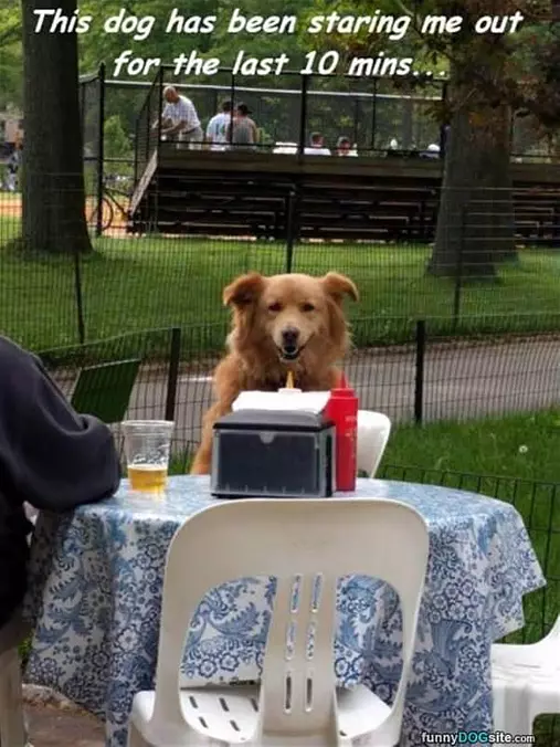 Staring For 10 Minutes