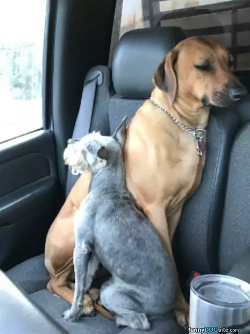 We Love Each Other