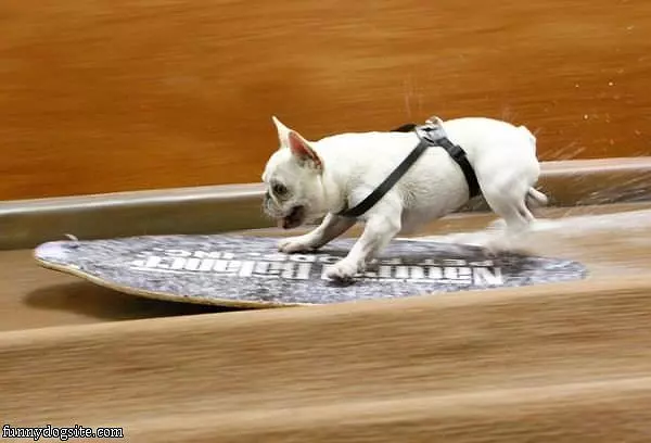 Loves To Surf