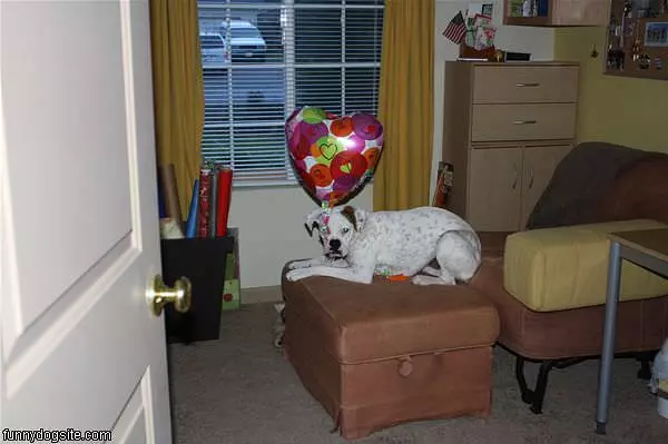 Tinks Balloon