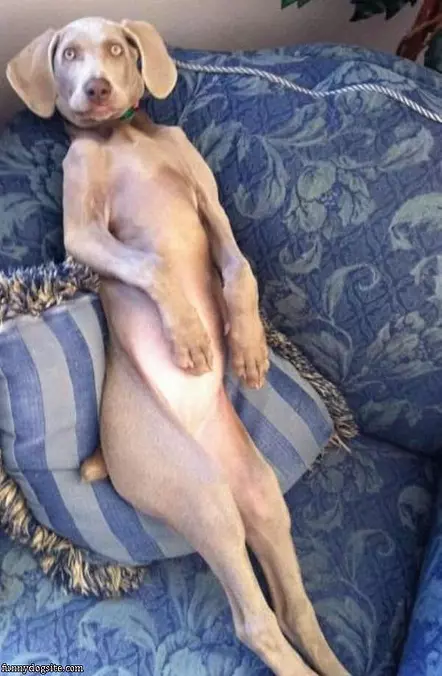 Sleeping Funny