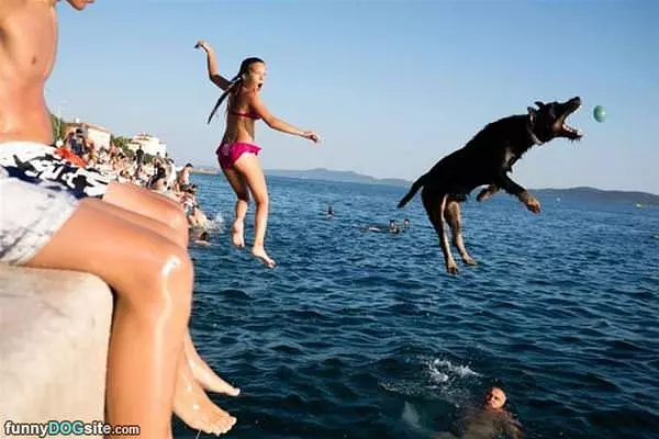 Awesome Fetch