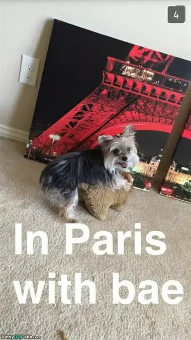 In Paris With Bae