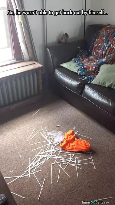 Cant Get Out