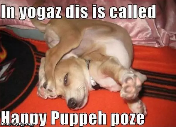 In Yogaz