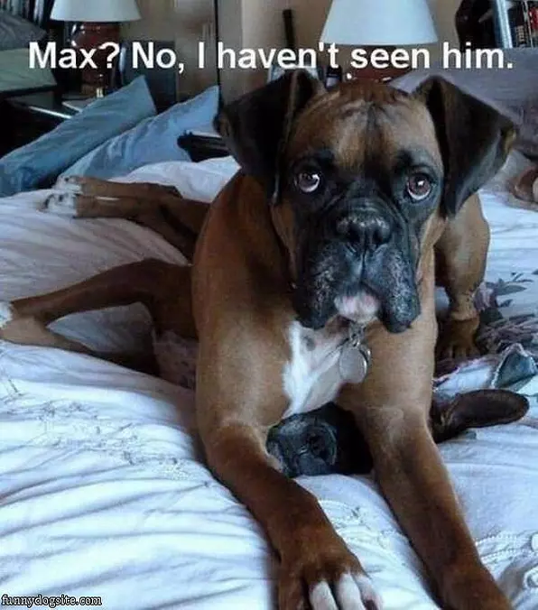 Havent Seen Him