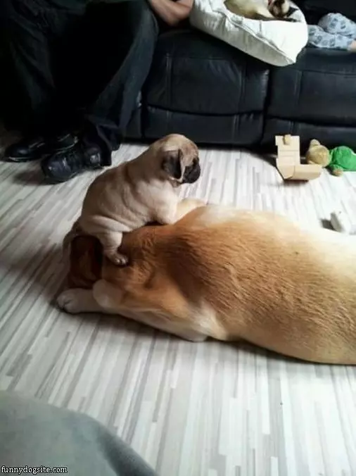 Ill Sit Where I Want