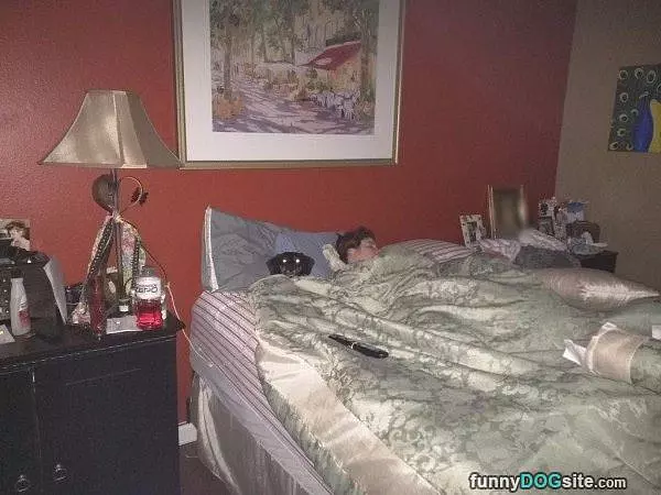 Chilling In Bed