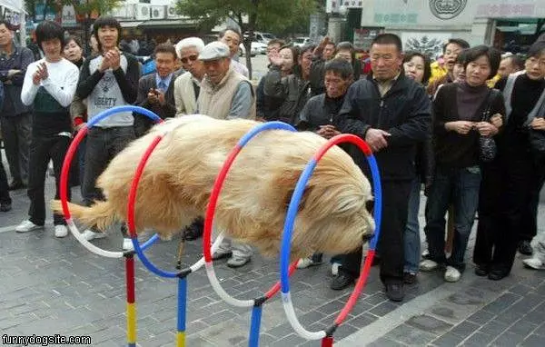 Hoops