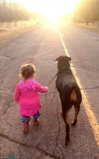 Taking My Buddy For A Walk
