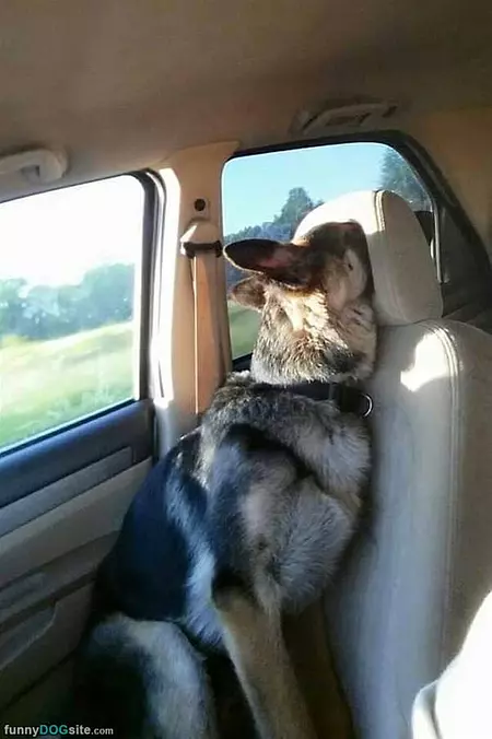 Watching You Back There