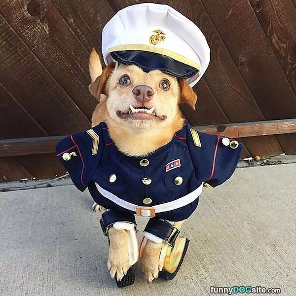 I Am The Captain