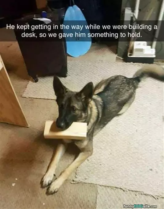 He Wants To Help