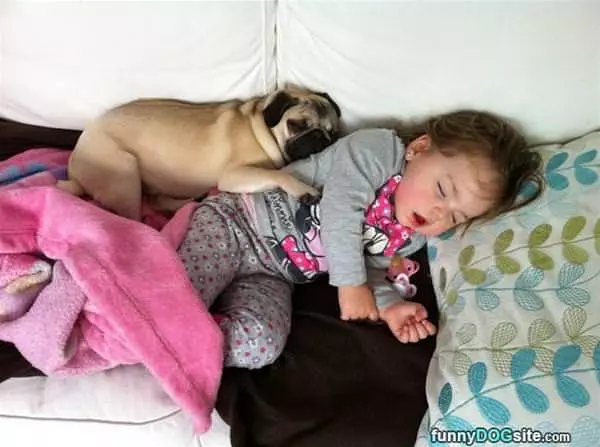 It Is Nap Time