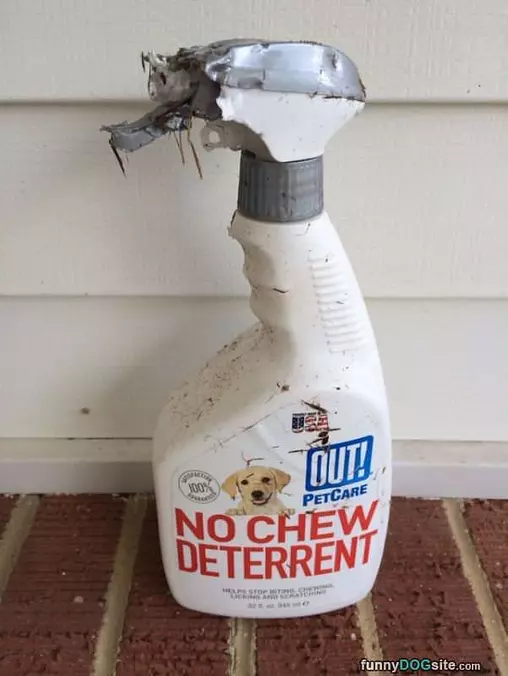 Chew Deterrent