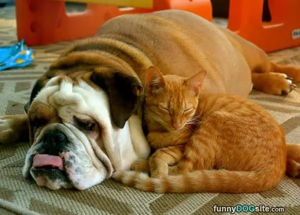 Hanging With My Friend