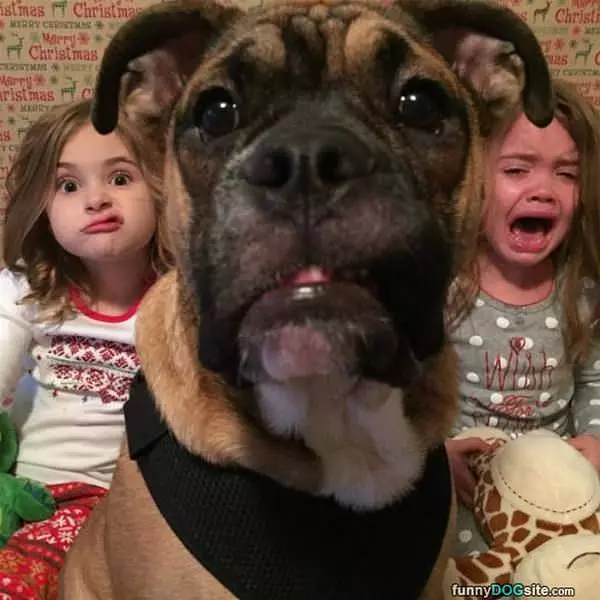 Grrrr