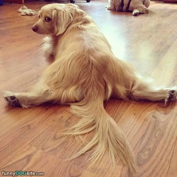 Doing My Yoga