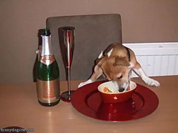 Fine Dining