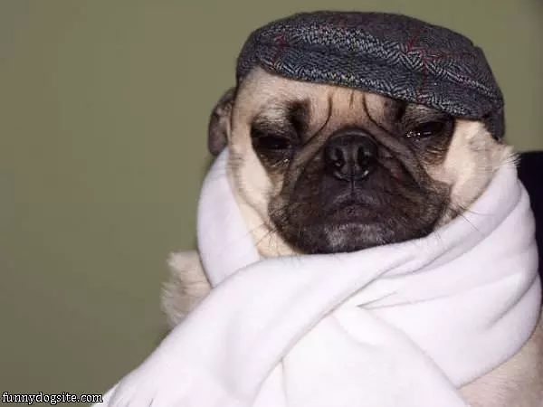 All Wrapped Up