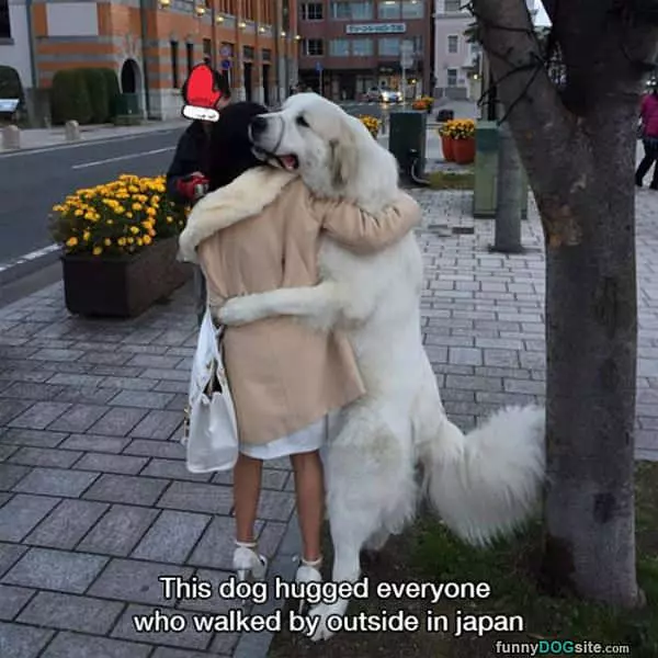 I Hug Them All