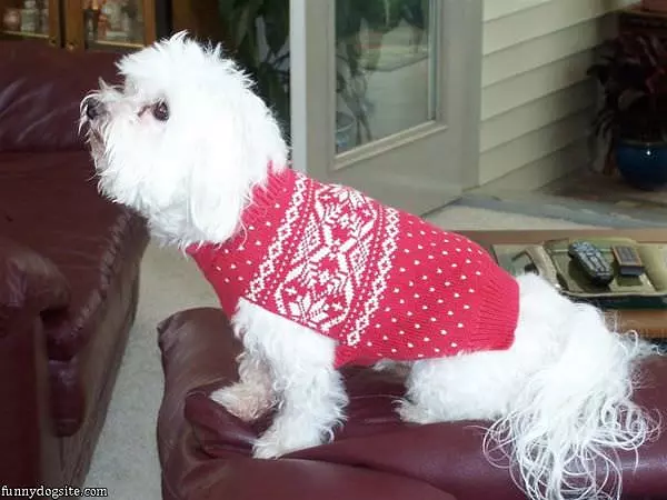 Xmas Sweater