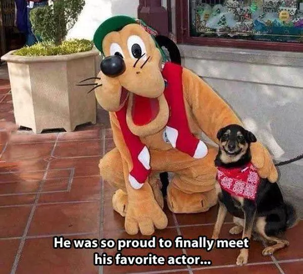 He Was So Proud