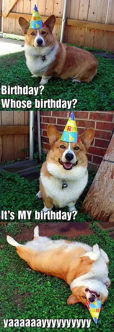 Its My Birthday Yay