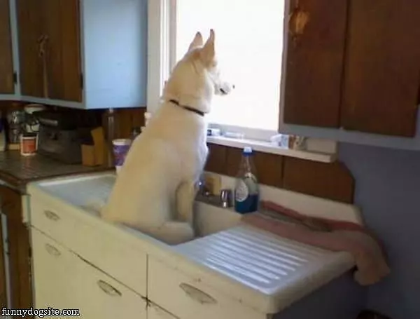 This Is My Favorite Seat