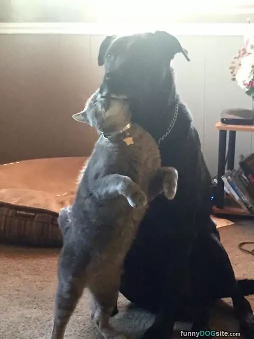 Cmon Just Hug Me