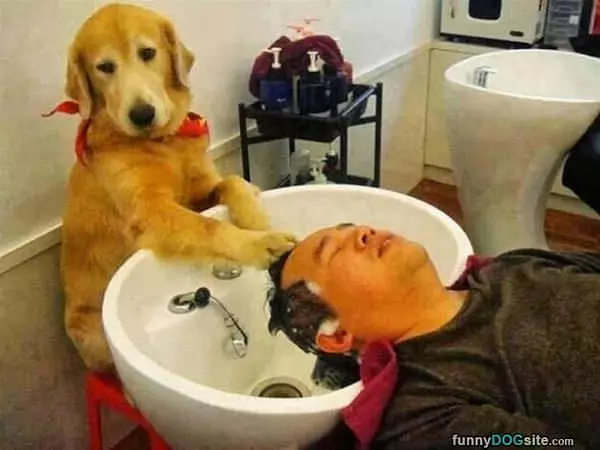 Let Me Get That For You