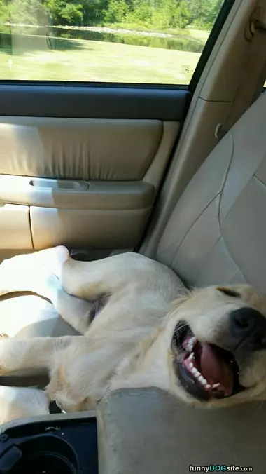 I Love Our Car Rides