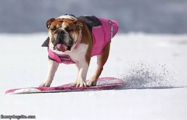 Boogie Board