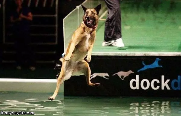 Water Jump