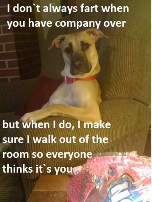 I Dont Always