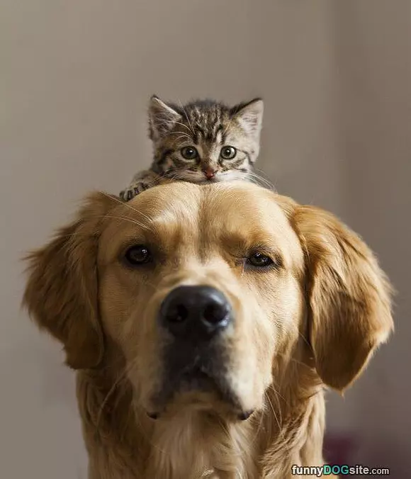 Me And My Buddy