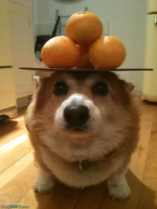 I Have Great Balance