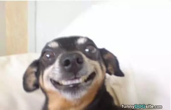 Smile Everyone