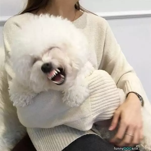 Rawrrrrrrr