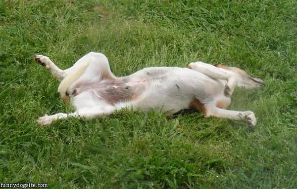 Just Relaxing