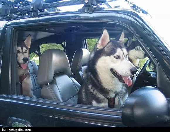 Going For A Ride