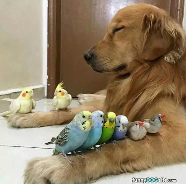 Zen
