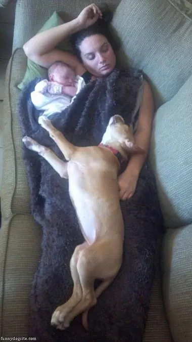 All Napping Together