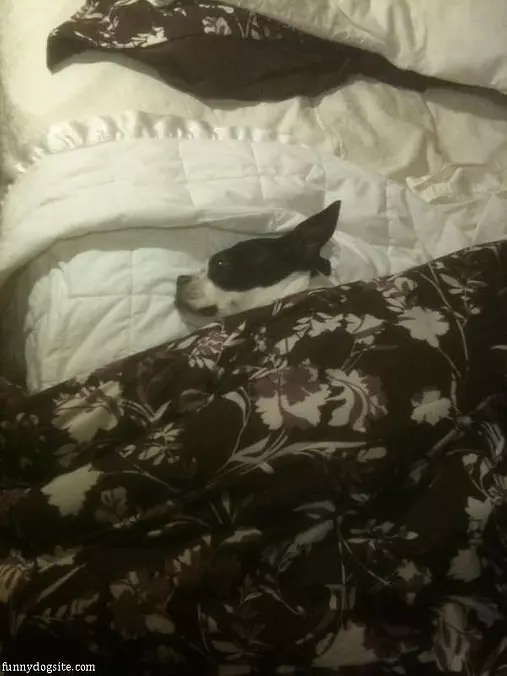 So Warm Under Here