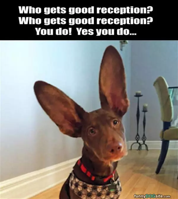 Good Reception